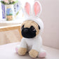 Joyamigo Pug Stuffed Animal Dog Puppy Soft Cuddly Animal Toy In Easter Bunny Costumes - Super Cute Quality Rabbit Dog Plush Children Easter Basket Stuffers Decoration