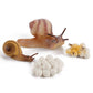4 Pcs Gary Farm Animal Life Cycle Model Figure Snail Figurine Party Favors Supplies Cake Toppers Desktop Decoration Collection Educational Toys For Boys Girls Kid Toddlers