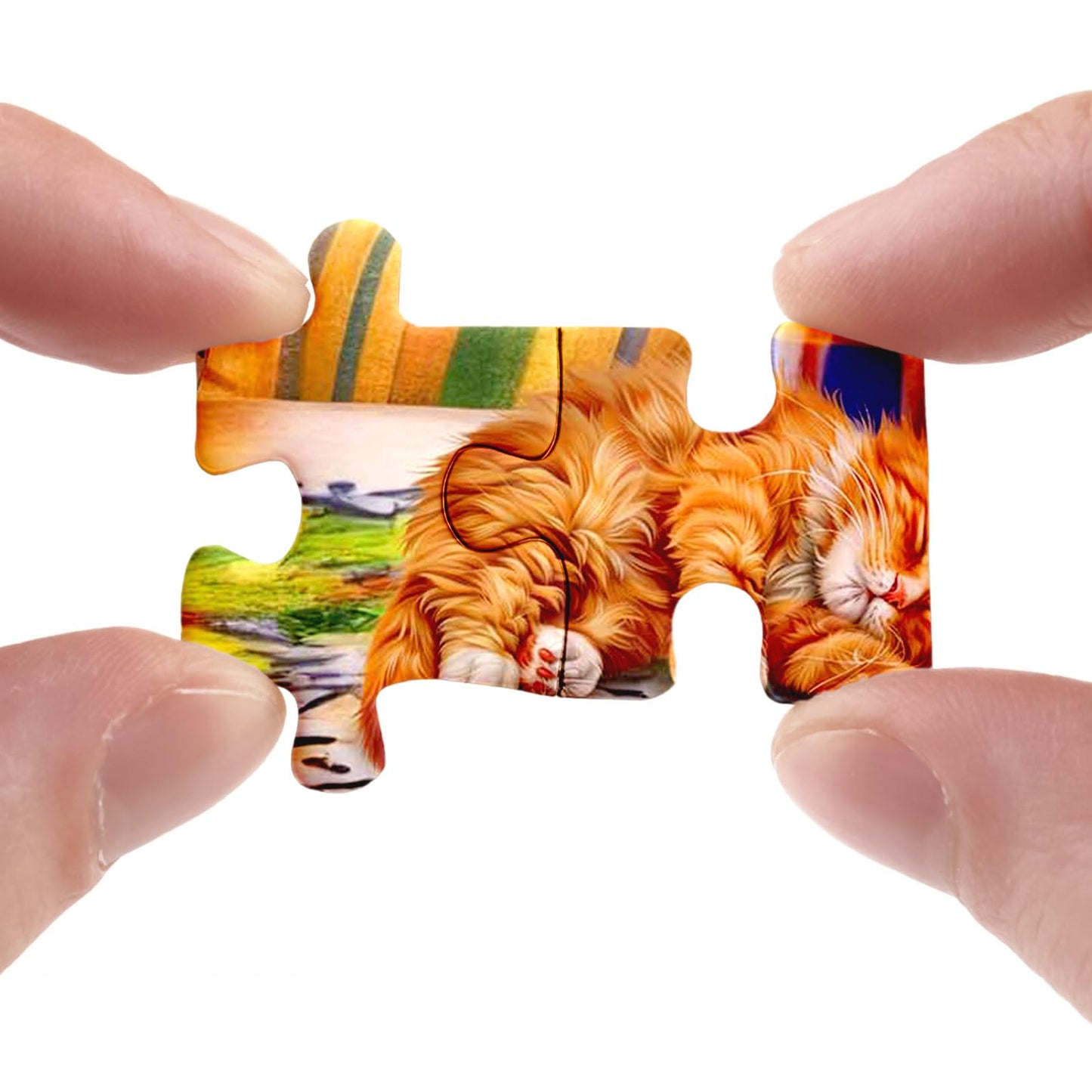Cozy House Puzzle For Adults 1000 Pieces, Pretty Landscape Jigsaw Puzzle, Cat Kitten Garden Pretty Puzzle