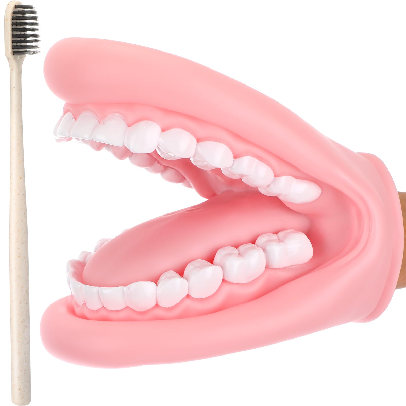 Puppet Braces Patelai 1 Pcs Mouth Puppet with Tongue Teeth Mouth Hand Puppet Dental ...