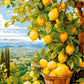 Tulip N Turtle Lemonade Diy Acrylic Paint By Number Kit For Adults Beginner Canvas Painting By Number Acrylic Painting. Wall Dec