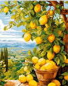 Tulip N Turtle Lemonade Diy Acrylic Paint By Number Kit For Adults Beginner Canvas Painting By Number Acrylic Painting. Wall Dec