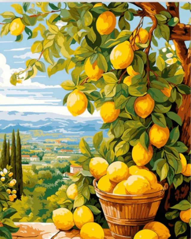 Tulip N Turtle Lemonade Diy Acrylic Paint By Number Kit For Adults Beginner Canvas Painting By Number Acrylic Painting. Wall Dec