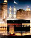 Tulip N Turtle Kaaba Dream Diy Acrylic Paint By Number Kit For Adults Beginner Canvas Painting By Number Acrylic Painting. Wall 