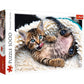 Trefl Cheerful Kitten 1000 Piece Jigsaw Puzzle, 27"x19", Multicolor, Model 10448, Creative Fun for Ages 12+