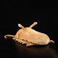Zhongxin Made Realistic Asaphus Kowalewskii Plush Toy - 13' Lifelike Cambrian Ancient Organism Asaphus Kowalewskii Stuffed Animals Model Plushie, Unique Plush Gift For Kids