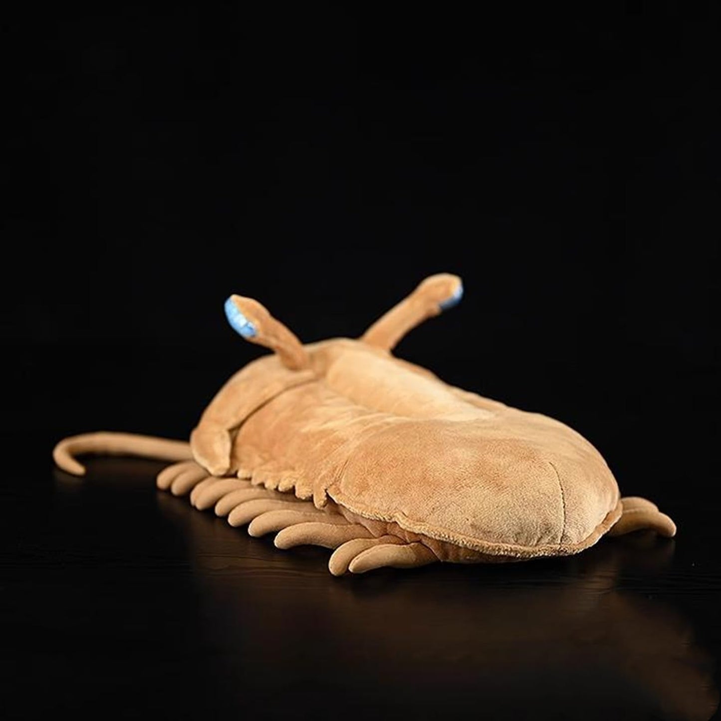 Zhongxin Made Realistic Asaphus Kowalewskii Plush Toy - 13' Lifelike Cambrian Ancient Organism Asaphus Kowalewskii Stuffed Animals Model Plushie, Unique Plush Gift For Kids