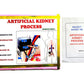 Artificial Kidney Process Science Working Project And Model Educational Electronic Hobby Kit