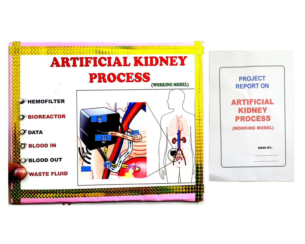 Artificial Kidney Process Science Working Project And Model Educational Electronic Hobby Kit