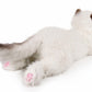 Ice King Bear 16' Realistic Ragdoll Cat Stuffed Animal 2Lb Fluffy Plush Toy Large
