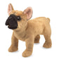 Folkmanis French Bulldog Hand Puppet Plush, Light Brown/Dark Brown, 1 Ea