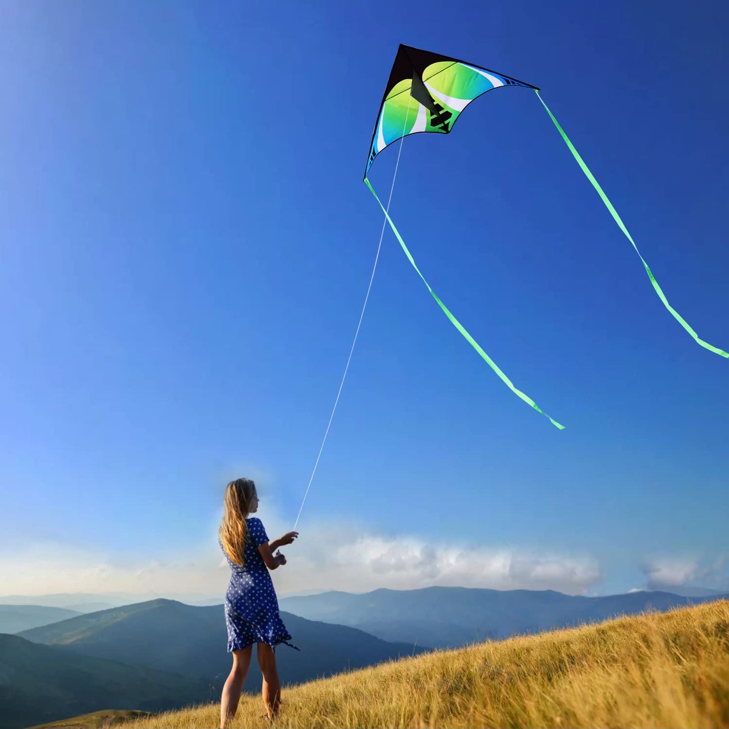 Honbo Huge Kites For Kids & Adults, Beginner Kite,Easy To Fly, The Easiest Single Line Beach Kite, With 300Ft String Kite Handle (Green)