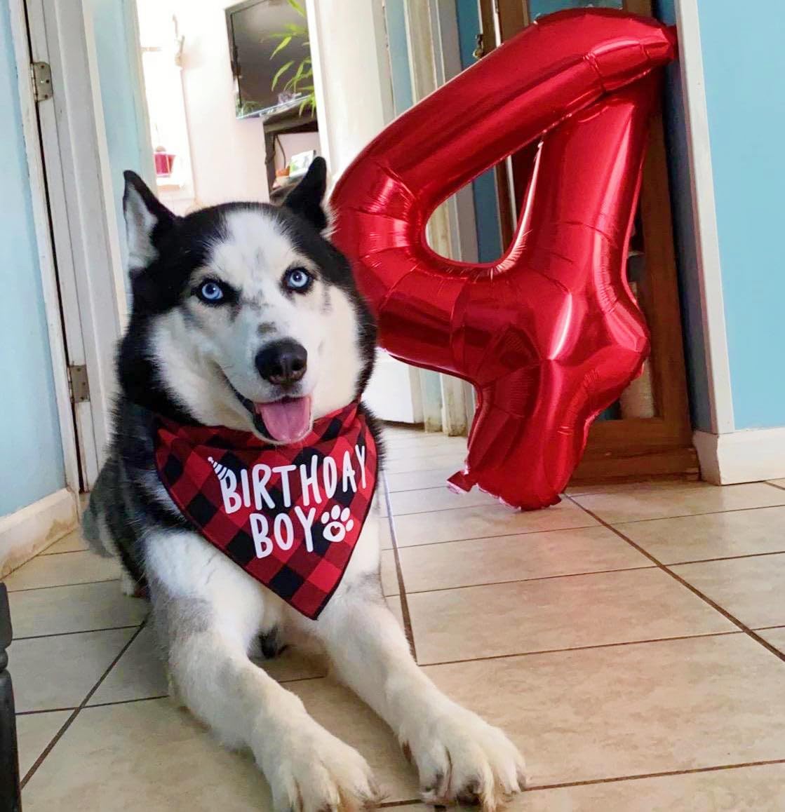 Number 8 Balloon 40 Inch Red Party Decorations, Large Mylar Foil Helium Balloon Birthday For8 18 28 80 1989 Decorations Party Su