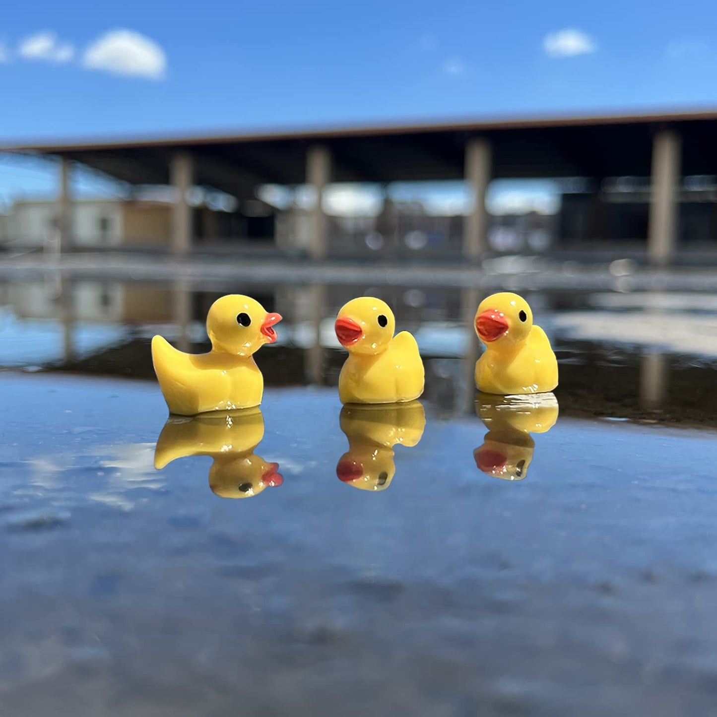 WEHOO 220 Pieces Mini Resin Duck Miniature Figures Micro Fairy Garden Landscape Aquarium Hide and Seek Prank Dollhouse Ornament