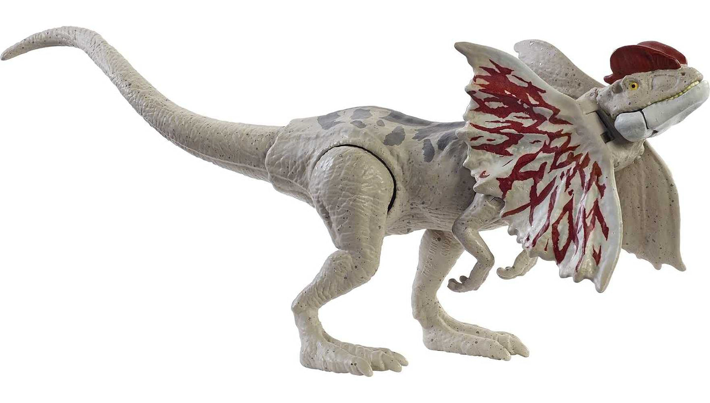Jurassic World Dilophosaurus Action Figure, 7 Inch, Movable Joints, Realistic Sculpting, Multi-color, Model GWY30, Kids Gift Ages 3+