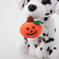 Plushland Halloween Pawpals 8 Inches Puppy Dog Plush Stuffed Toy Comes With Hat And Halloween Jack O Lantern - Pumpkin For Kids On This Holiday (Dalmatian)