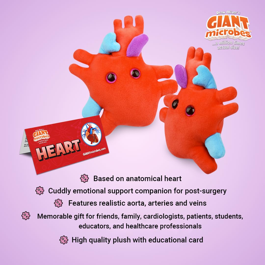 GIANTmicrobes Heart Plush Stuffed Animal, Medium Red Anatomical Heart Toy, Model GM052, Perfect Gift for Cardiologists and Heart Surgery Survivors