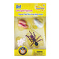 Ant Life Cycle Toy - 4 Piece Set Shows Life Cycle Of An Ant