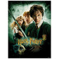 Harry Potter Chamber Of Secrets 500 Piece Jigsaw Puzzle For Adults, 16' L X 21.5' W