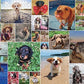 Andrews McMeel Publishing 1000 Piece Jigsaw Puzzle - WeRateDogs - 26 x 19 inches - Fun for All Ages
