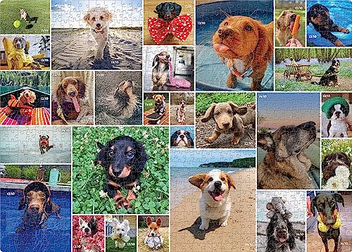 Andrews McMeel Publishing 1000 Piece Jigsaw Puzzle - WeRateDogs - 26 x 19 inches - Fun for All Ages