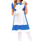 Alice Wonderland Dresses Little Girls Blue Maid Princess Party Dress Up Outfit 5-6 Years