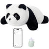 Golabs PT1 Plush AI Robot Panda Toy for Kids 3+,Interactive Companion Pet with 64 Languages, APP w/ 10 Roles Powered by GPT-4o, 