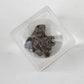 DANCING BEAR Meteorite from Space, 5 pcs Campo del Cielo from Argentina/Educational Card & Magnifying Box