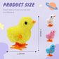 Saurawan 2-Pcs Chicken Plush Wind Up Toys For Kids And Toddlers, Wind Up Easter Toys For Easter Egg Fillers, Goody Bag Stuffer -