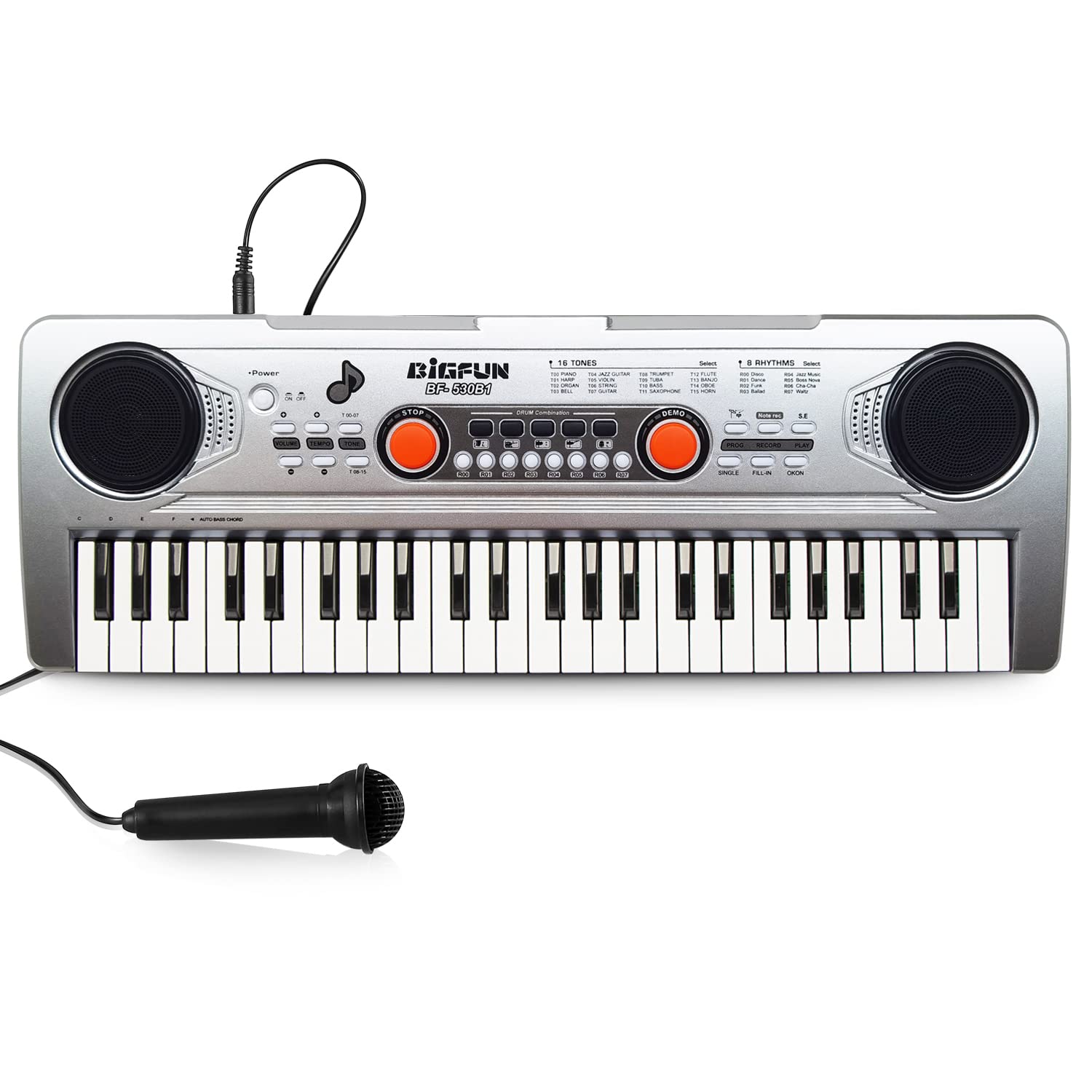 Raimy 49 Keys Piano Keyboard For Kids - Portable Electronic Digital Piano With Microphone, Learning Educational Music Keyboard Piano For Beginners Gifts Toys For Boys Girls Toddlers (Silver)