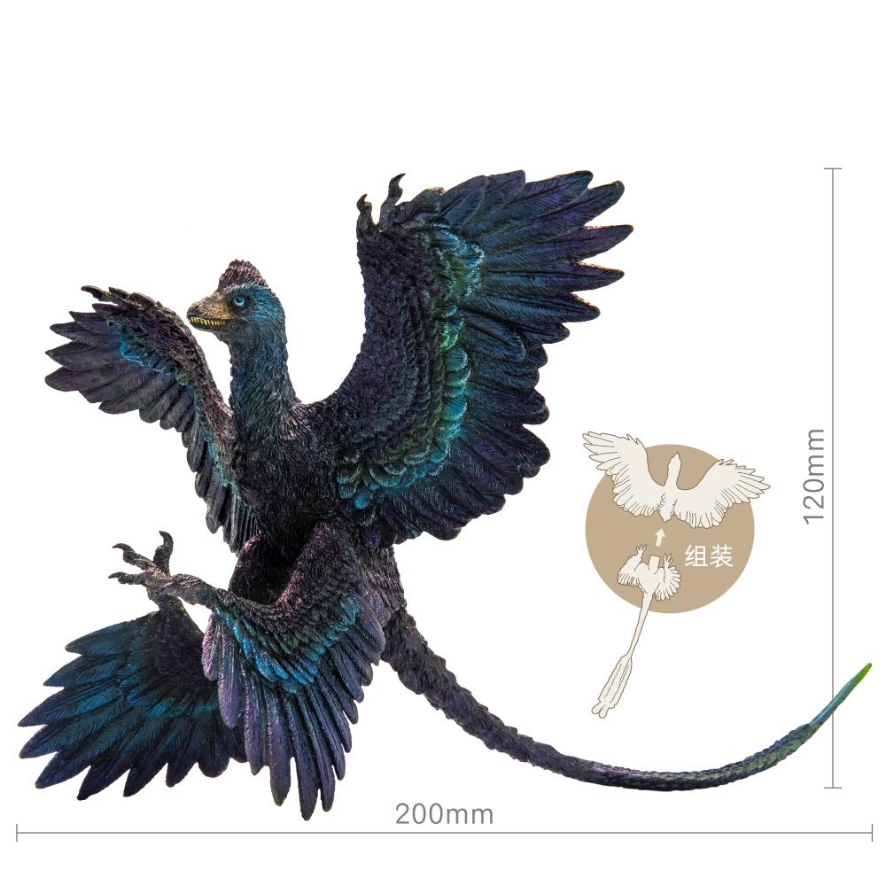 Pnso Prehistoric Dinosaur Models (29 Gaoyuan The Microraptor)
