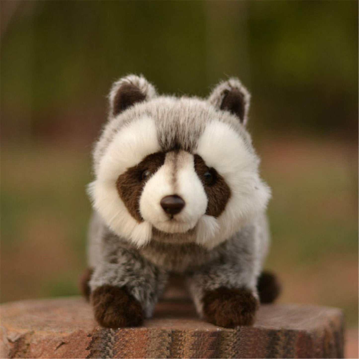 TAMMYFLYFLY 12" Raccoon Plush Stuffed Toy, Multicolor, Soft Plush Material, Model 202001025