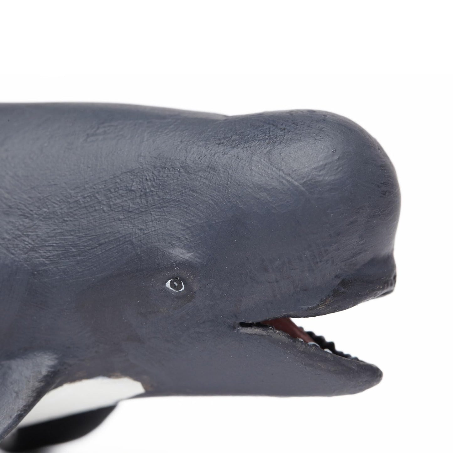 Safari Pilot Whale