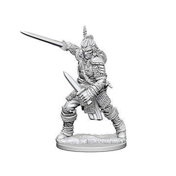 Pf Dc: Human Male Fighter W1