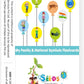 Playwayshop | My Family & National Symbols Flash Cards For Kids | Action Learning Cards | 30 Laminated & Reusable Cards | Childh