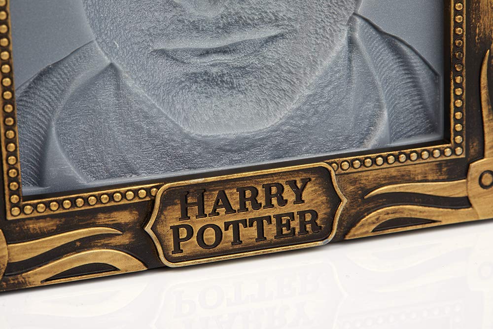 Wow! Stuff Collection Harry Potter Holopane 50 Mood Lamp