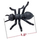 Large 1.5'' Black Carpenter Ant Toys (144 Pack) Plastic. Realistic Looking Ants. Prank, Props, Cake, Cupcake Decor And More! (14