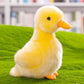 8 Inch Small Yellow Duck Plush Toys Duck Stuffed Toys (Yellow + White)