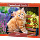 Castorland 'Ginger Kitten Puzzle (500 Piece)