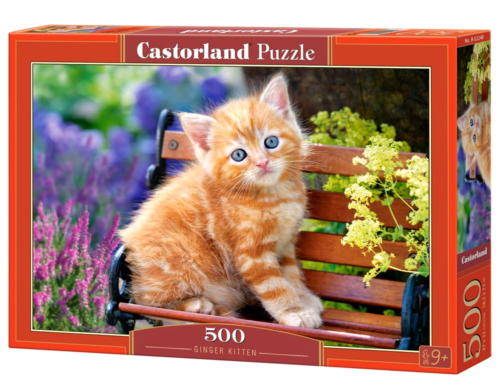 Castorland 'Ginger Kitten Puzzle (500 Piece)