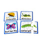 Junior Learning 6 Spelling Games, Multi