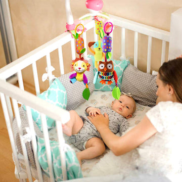 Bloobloomax Baby Soft Hanging Rattle, Car Seat Stroller Toys With Plush Animal C-Clip Ring For Infant Babies Boys And Girls 3 6 9 To 12 Months (12Pcs-A)