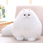 Winsterch Stuffed Animal Plushie Cat Stuffed Animal,Cute Soft Plush Cat Animals,White Stuffed Cat, Birthday For Kids,Boys,Girls,Fat Cat Stuffed Toy (White, 10 Inches)