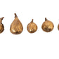 Creative Co-Op Resin Figs with Gold Finish (Set of 5 Pieces)