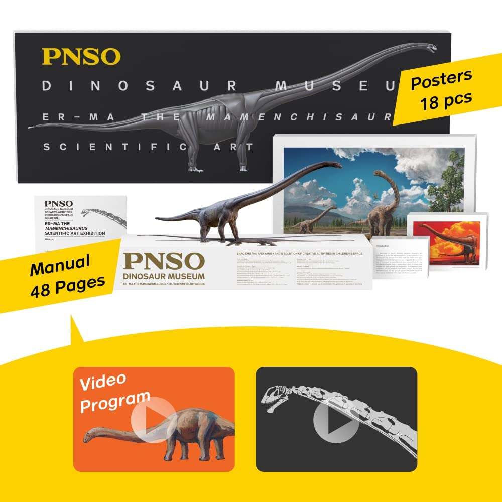 PNSO Dinosaur Museums Series Mamenchisaurus Model, 12.75" Plastic, 1:45 Scale