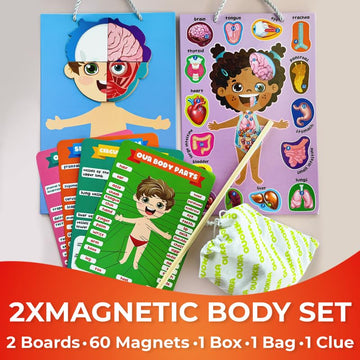 Quokka Magnetic Puzzles For Kids - Montessori Puzzles For Toddlers 3-5 - Preschool Game Learning Human Body Parts Anatomy Skelet