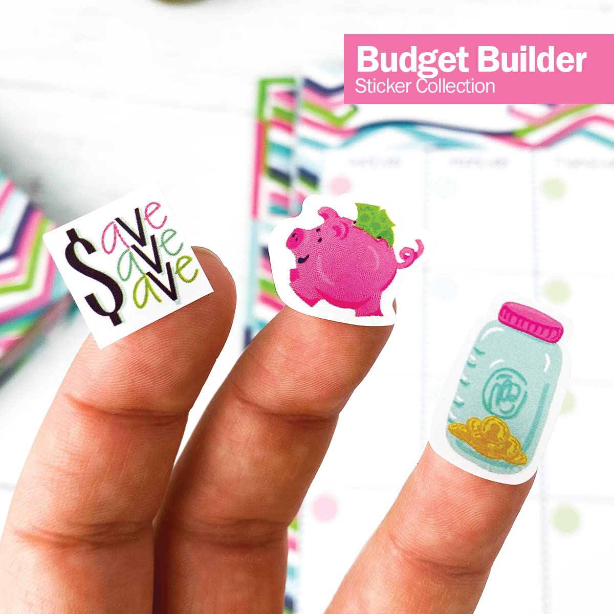 772 Planner Stickers - Budget Planning Collection. Bill Due Date Reminders, Expense Tracking, Savings Goals, Auto Expenses, Holi