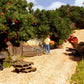 Woodland Scenics C1288 Fine Buff Gravel