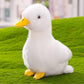 8 Inch Small Yellow Duck Plush Toys Duck Stuffed Toys (Yellow + White)