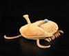 Zhongxin Made Realistic Asaphus Kowalewskii Plush Toy - 13' Lifelike Cambrian Ancient Organism Asaphus Kowalewskii Stuffed Animals Model Plushie, Unique Plush Gift For Kids